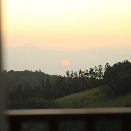 Hotel Bosque Verde Lodge Monteverde Quarto foto